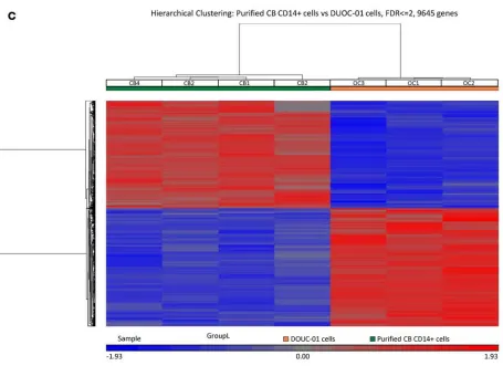 Figure 9. Comparative whole-transcriptome analysis of CD14 and DUOC-01 cells. (DUOC-01 cells