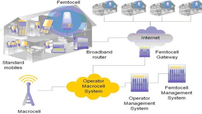 Figure 1.1:- Fem to cell in Real World 