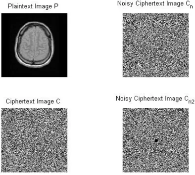 Figure 1.5: Robustness to Noise in Cipher Text 