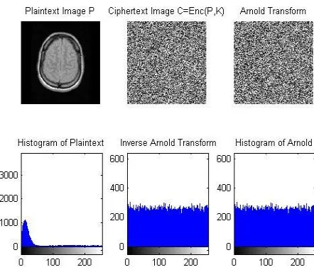 Figure 1.7: Sensitivity to Plain Text Changes 