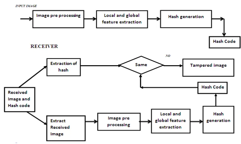 Fig 2 (a) Original Image of Size 215x315 (b) Interpolated to size of 256x256 (c) Grey scale image used for feature  extraction 