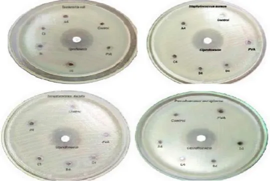 Figure-3.6. Antibacterial activity of compound A4 and PVA. 