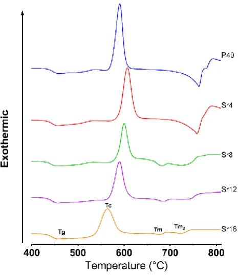 Fig. 2 Density and molar volume of the multicomponent 40P2O5·(16-x)CaO·20Na2O·24MgO·xSrO glasses
