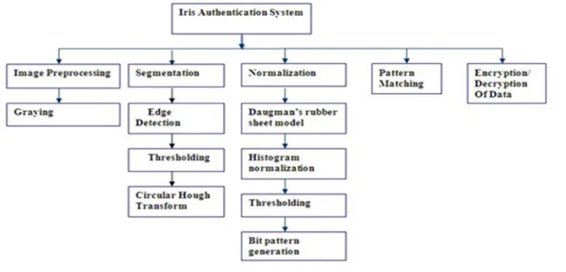 Fig. Typical Structure of an Iris Image 