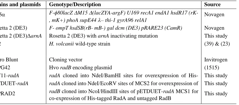 Table 1. List of strains and plasmids.