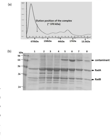 Figure 3646