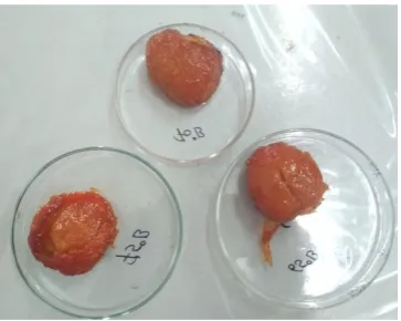 Fig. 1  Osmotically dehydrated plum at different  sugar syrup concentration at temperature 500C 
