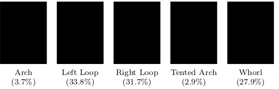 Figure 1: Five ﬁngerprint classes deﬁned by Henry [24] and their frequencies.