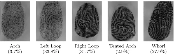 Figure 2: Main types of global ﬁngerprint features [1].