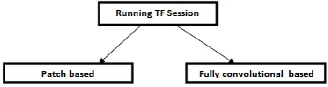 Fig.  2. Processing modes in Running TF session  