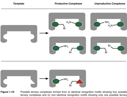 Figure 1.19: �Possible ternary complexes formed from (i) identical recognition motifs showing four possible ternary complexes and (ii) non–identical recognition motifs showing only one possible ternary complex.