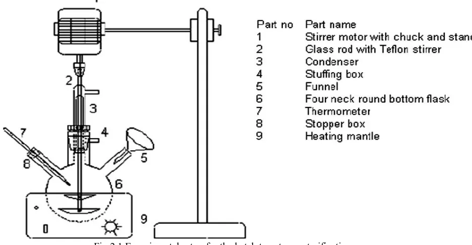 Fig 2.1 Experimental setup for the batch type transesterification process 