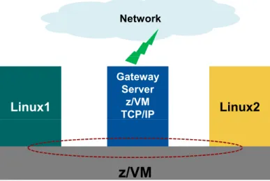 Fig 1.1: Network Architecture of Z/VM and Z/LINUX