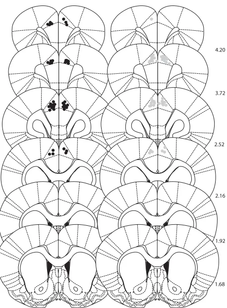 Figure 5.Histological veriﬁcation of cannula placements for rats used inin experiments 3 and 4