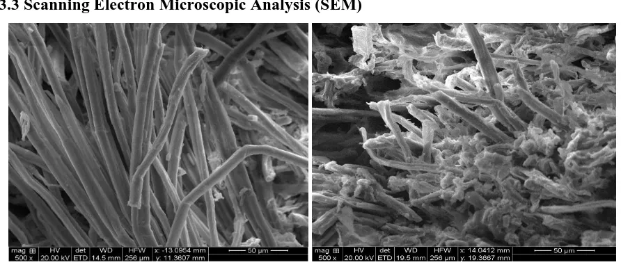 Figure –7&8: Scanning Electron Micrograph showing the surface morphology of 