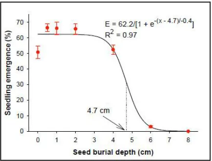 Fig. 3. Effect of burial depth on seedling emergence of scarified seeds of  Sida rhombifolia