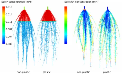 Figure 5: Simulation results for plastic and non-plastic root systems. Root plasticity was defined as 