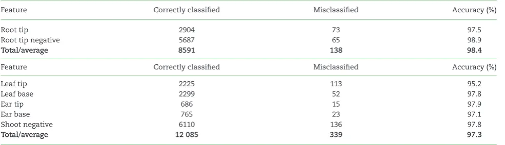 Table 1: Classification results for both root and shoot datasets
