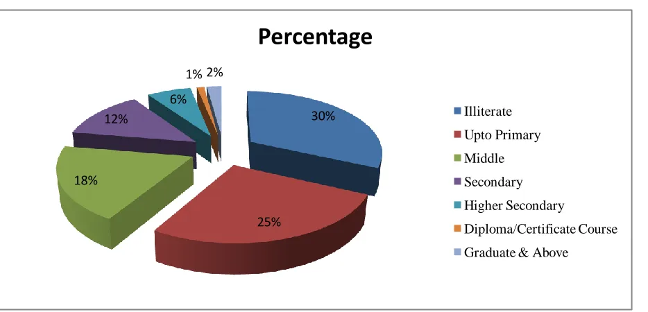 Figure 1.1. Education Profile of Labour Force in India in 15 – 59 Years Age Group 