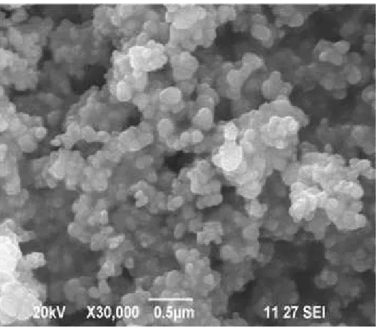 Fig. 3 : SEM image of TiO2 powder with magnification ( x 10,000)