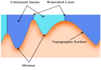 Fig 1. Watershed Transform Image 