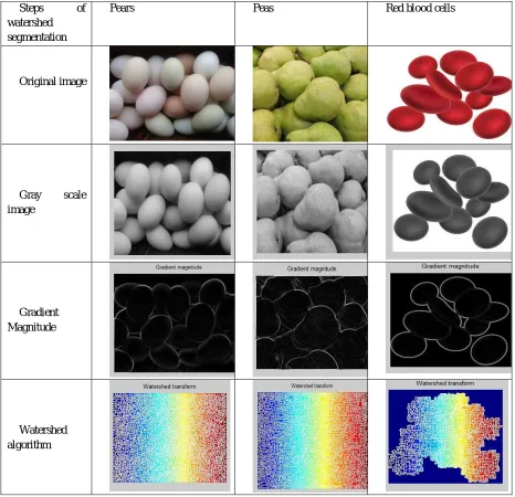 Table 1: Watershed Algorithm, Thresholding and Complementing Image. 