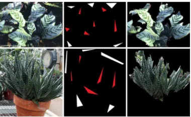 Fig 2.1: Segmentation examples the input image, the seed points shown as white (background) and red (foreground) regions and the segmented images are shown in a row