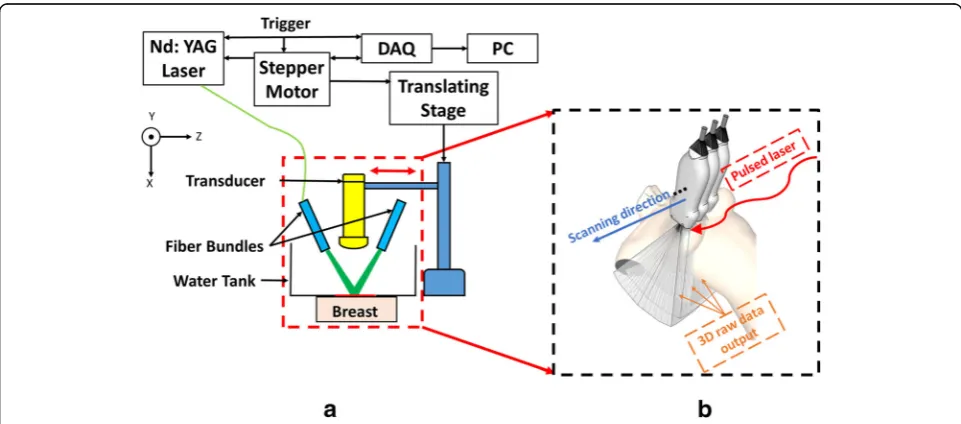 Fig. 3 Schematic drawing of PACT setup. a A 2D schematic showing all major components