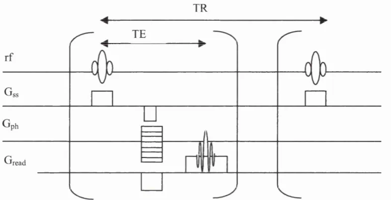 Figure 2-5 Basic MRI experiment. Gs»: slice selective gradient, Gph: phase encoding gradient, Gread: readout/frequency encoding gradient