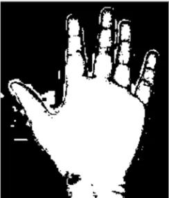 Figure 5. Image Thresholding 