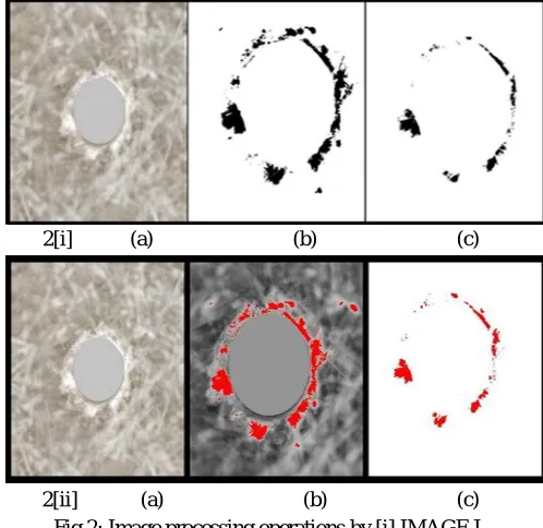 Fig 2: Image processing operations by [i] IMAGE J, 