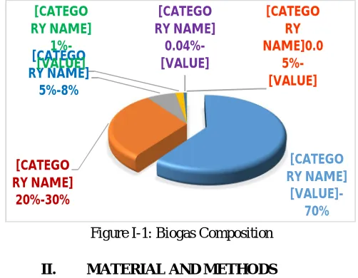 Figure I-1: Biogas Composition 