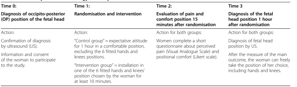 Table 1 Summary of the chronology of study interventions