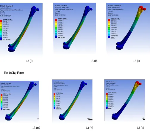 Figure 13(a-o): FE results obtained from Static Structural Analysis using ANSYS 15.0 