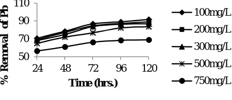 Fig. 3 Effect of different biomass concentration and media dosage in the removal of Pb 