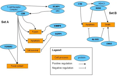 Figure 5Biological pathways of two groups of genes from "random walk" searchBiological pathways of two groups of genes from "random walk" search