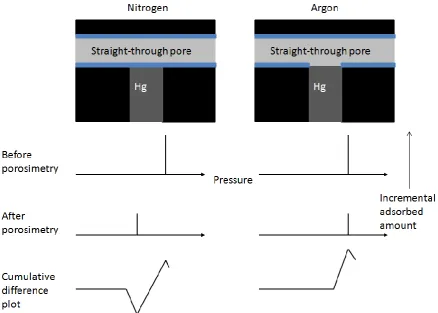 Figure 2. Schematic diagram showing the anticipated impact of entrapped mercury on the form of cumulative difference in incremental amount adsorbed (before mercury minus amount afterwards) plots for nitrogen and argon
