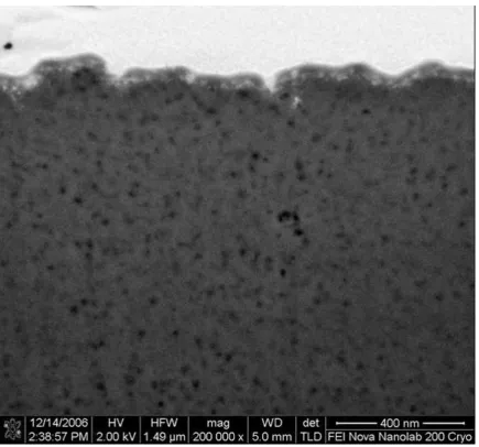 Figure 4. EM image of the back wall of a trough cut in the surface of a sample of Q1, revealing the cross-section through the internal nanoscopic pore structure of the material