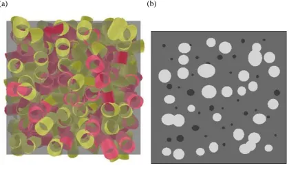Figure 5. (a) View of a random, cylindrical pore-bond network model with 512 nodes and 1726 cylindrical pores