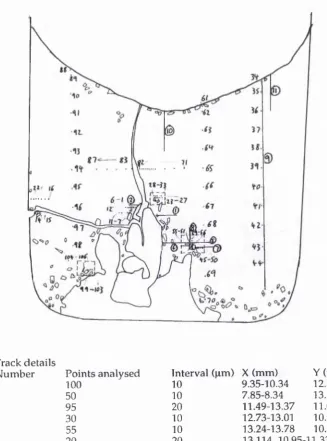 Figure 3.19. Map of analytical points and tracks in slide CO 31b.