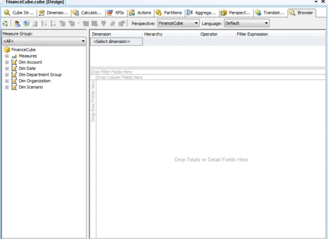 Figure 15-8: The cube browser in BIDS 