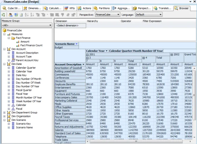 Figure 15-9: Exploring cube data in the cube browser 