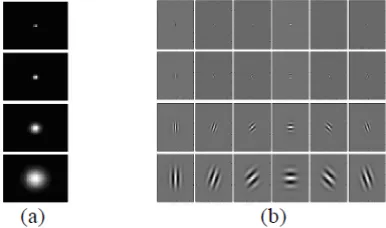 Figure 4: Convolute Image with Gabor filter  Due to large number of feature vectors from Gabor Filter,Gabor filter convolute with Image having large number of feature 