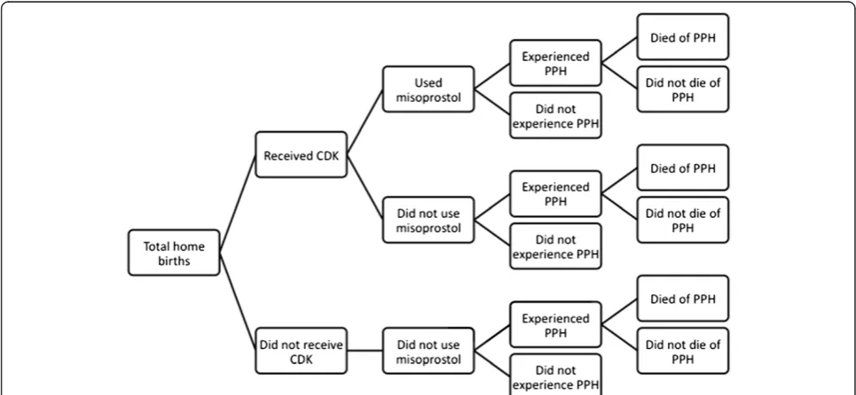 Figure 1 Flow chart of categorization of women who delivered at home by receipt of CDK, use of misoprostol, experience of PPH, anddeath due to PPH.