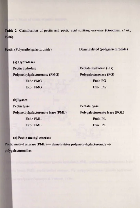 Table 2. Classification of pectin and pectic acid splitting enzymes (Goodman et al., 