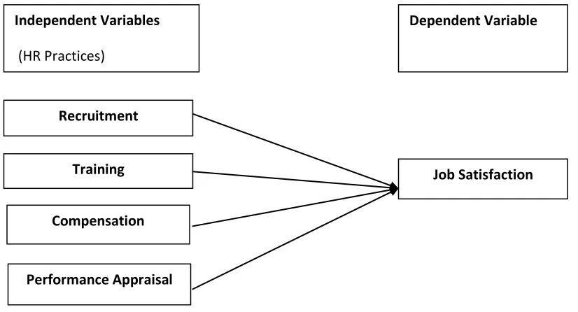 Figure 1: Conceptual Framework for the study 