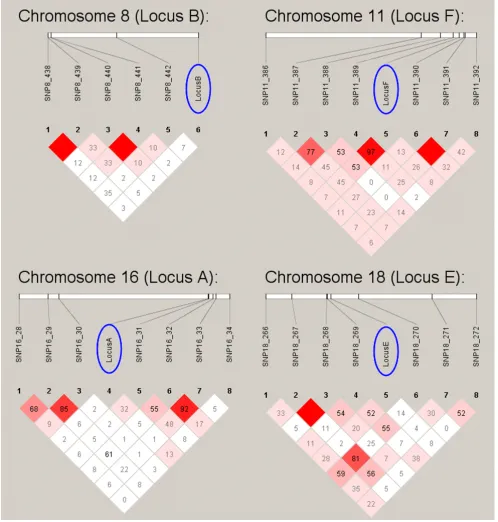 Figure 1LD between underlying loci and surrounding SNPsLD between underlying loci and surrounding SNPs