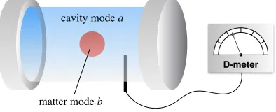 Figure 1.The parameter D, quantifying the strength the diamagnetic term in the DickeHamiltonian (2), may be estimated experimentally by performing an appropriate measurementon the coupled light-matter system