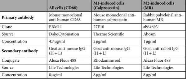 Table 1. Primary and secondary antibodies used for immunocytochemistry.