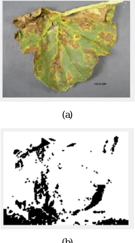 Fig 3: Result after preprocessing 